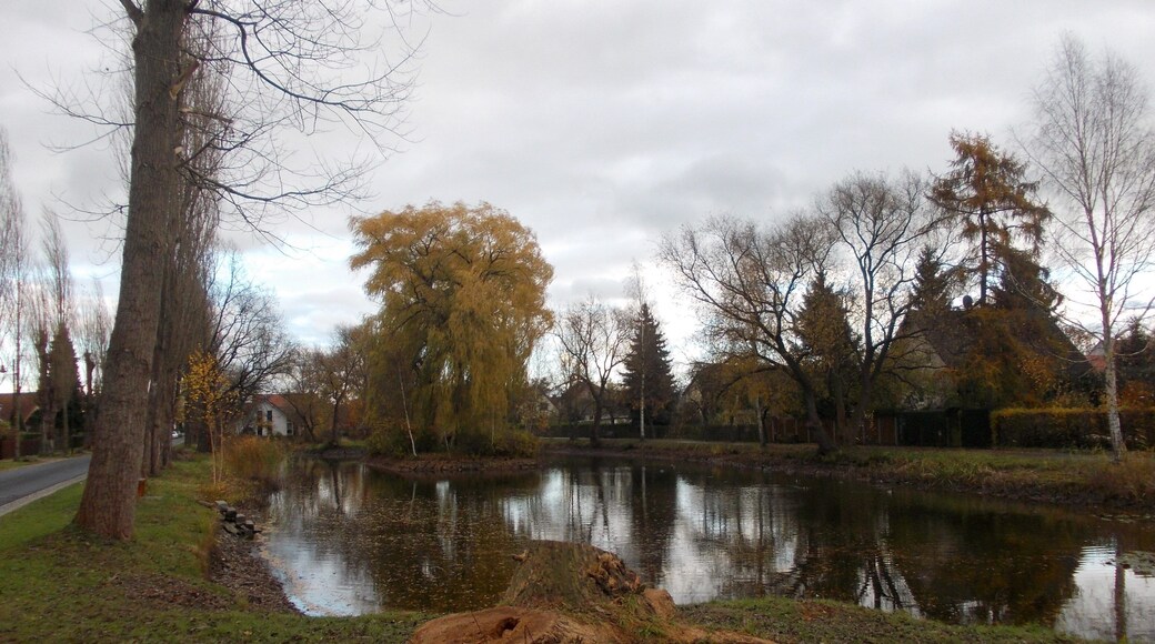 Pond in Ammelshain (Naunhof, Leipzig district, Saxony)
