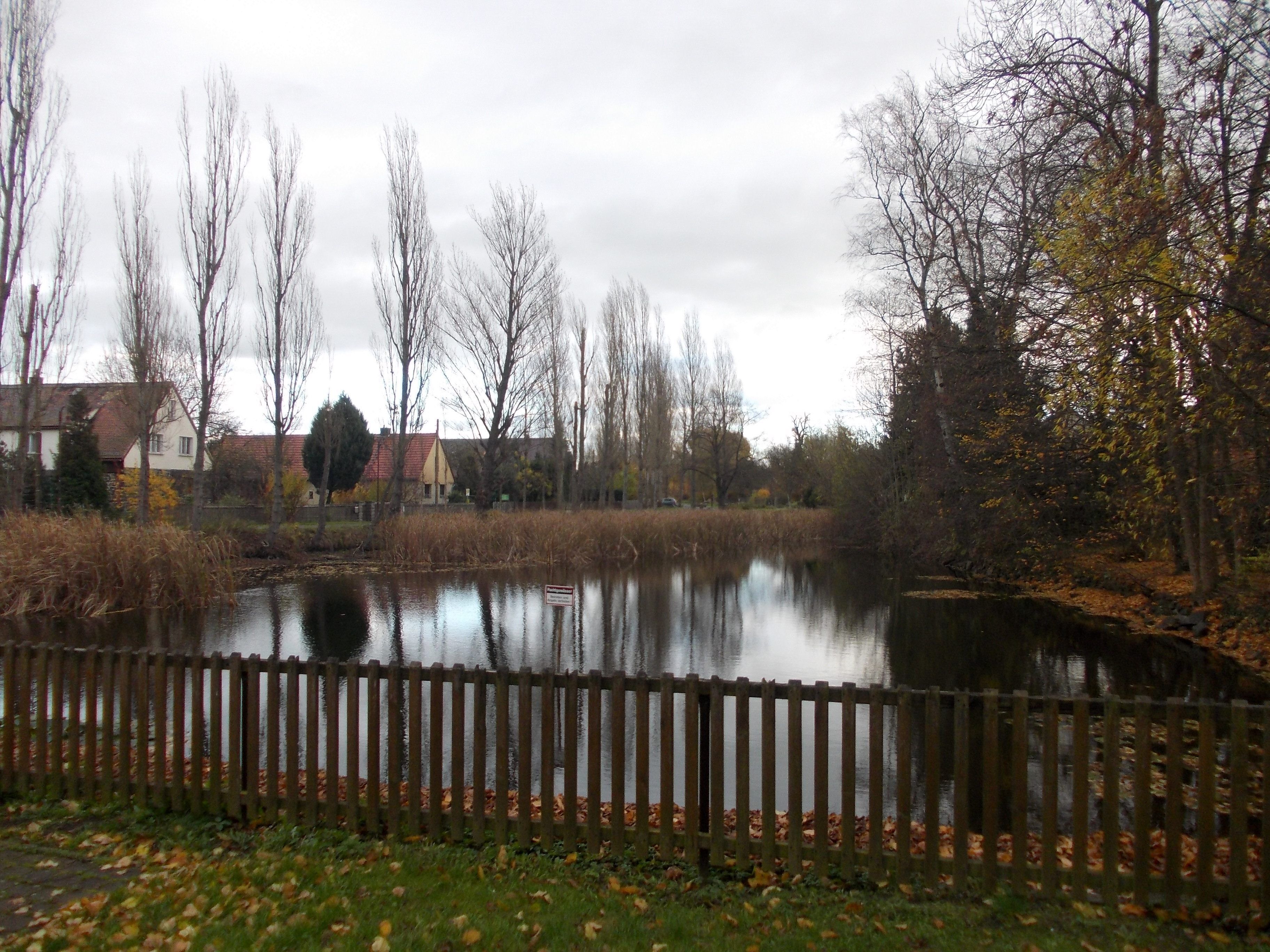Pond in Ammelshain (Naunhof, Leipzig district, Saxony)