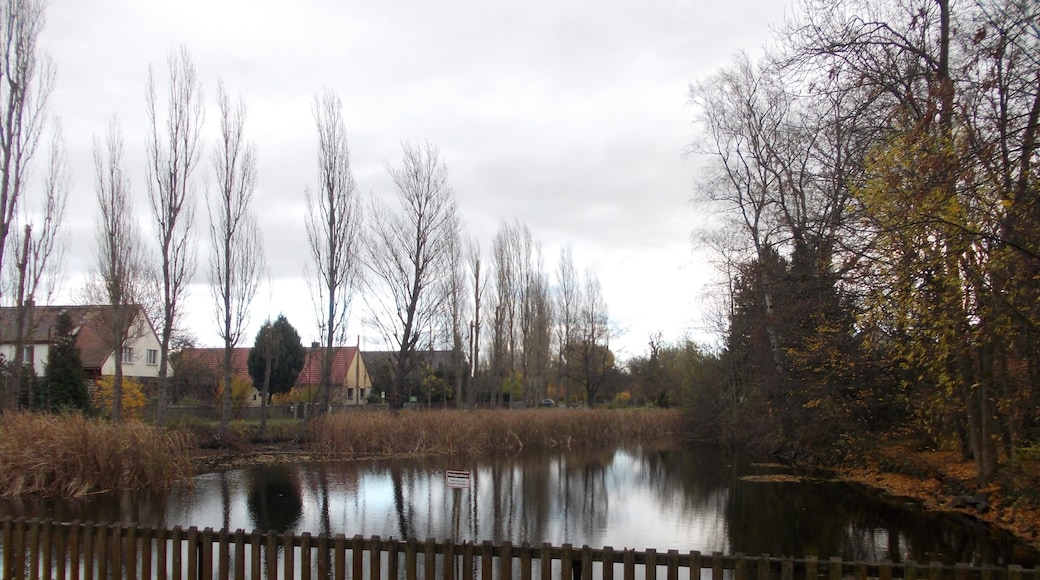 Pond in Ammelshain (Naunhof, Leipzig district, Saxony)