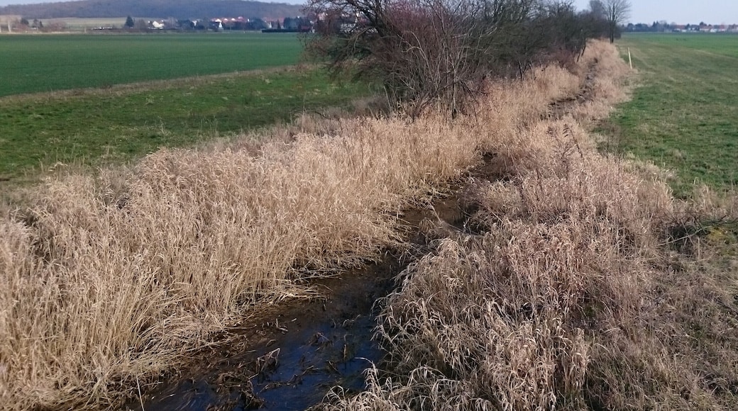 Der Gladegraben östlich der Staatsstraße S 49