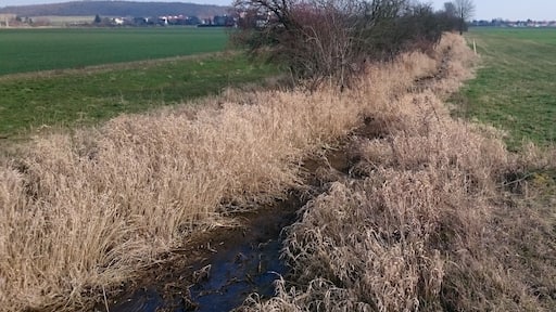 Der Gladegraben östlich der Staatsstraße S 49