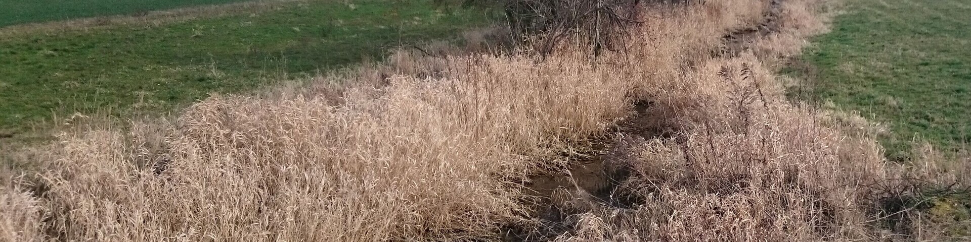 Der Gladegraben östlich der Staatsstraße S 49