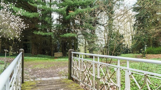 Landschaftspark Treblitzsch. Kleine Brücke, mit handwerklich gut gestaltetem, schmiedeeisernem Geländer. Im Hintergrund Bronzestatue "Dame mit der Locke"