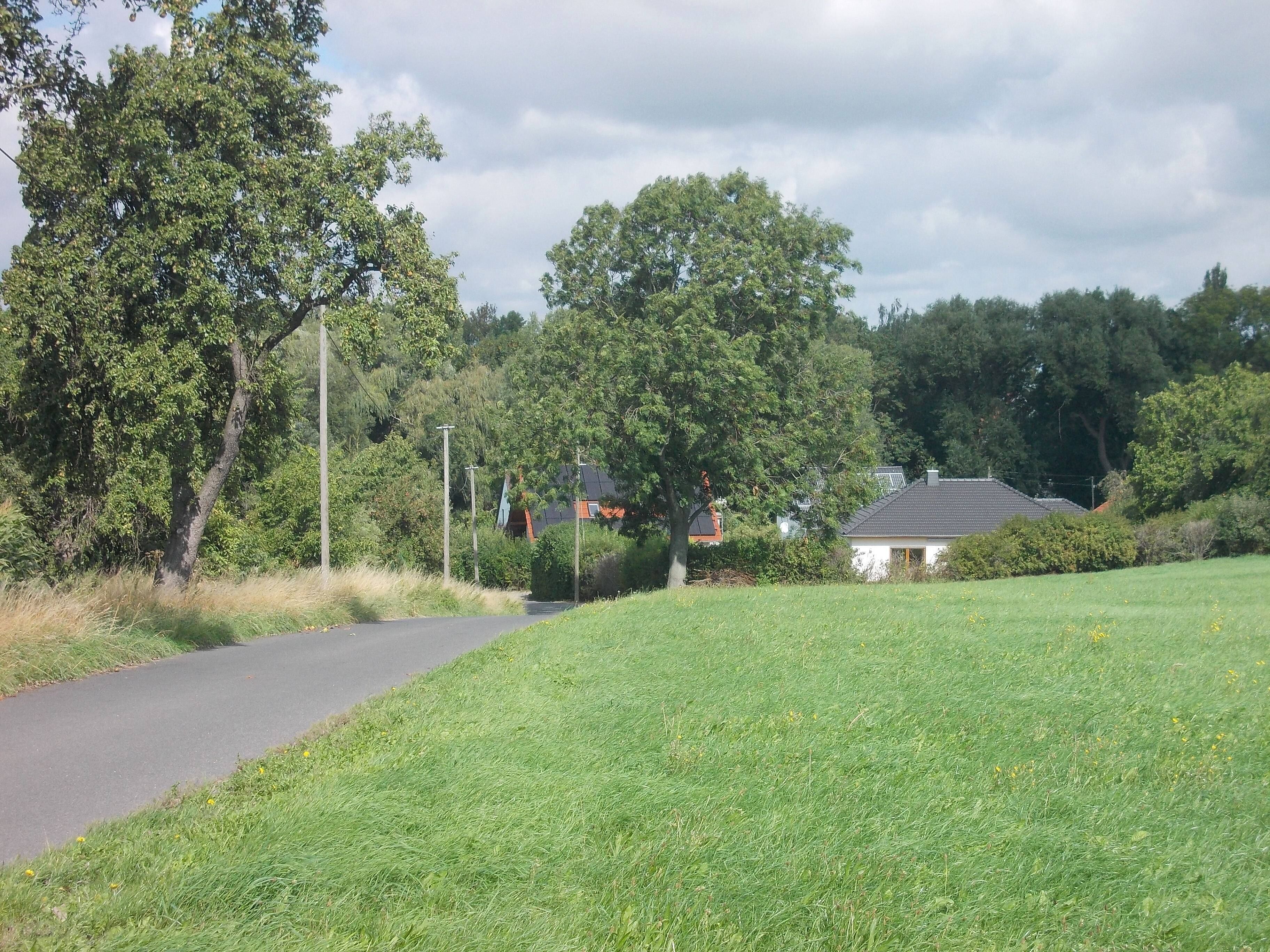 A rural road with a grassy field, trees, and a small house.