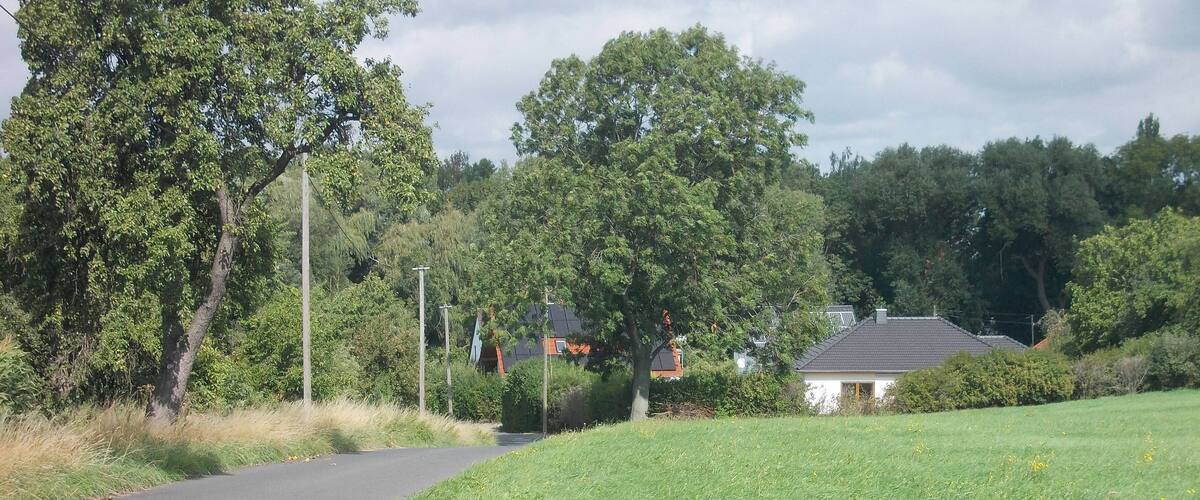 A rural road with a grassy field, trees, and a small house.