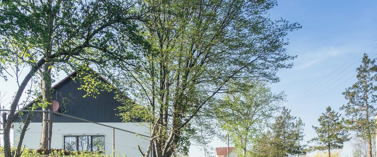 A rural road with a barn, trees, and a signpost.