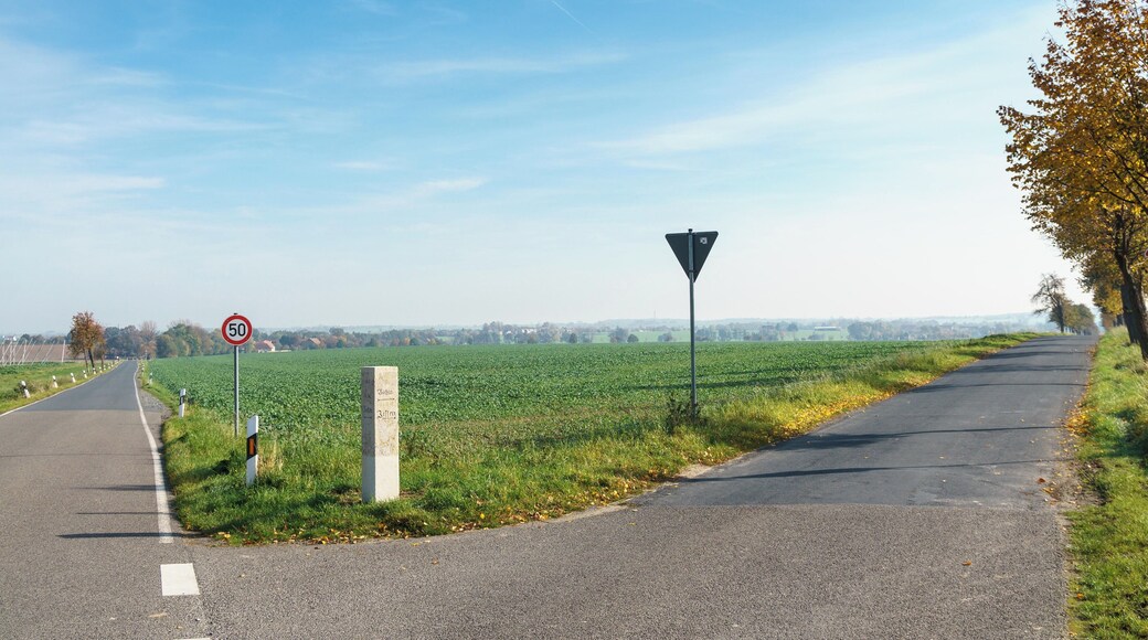 This media shows the protected monument of Saxony with the ID 08957764 KDSa/08957764(other).