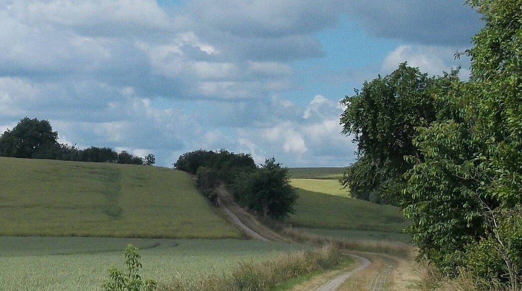 Landscape near Wantewitz (Priestewitz, Meissen district, Saxony)