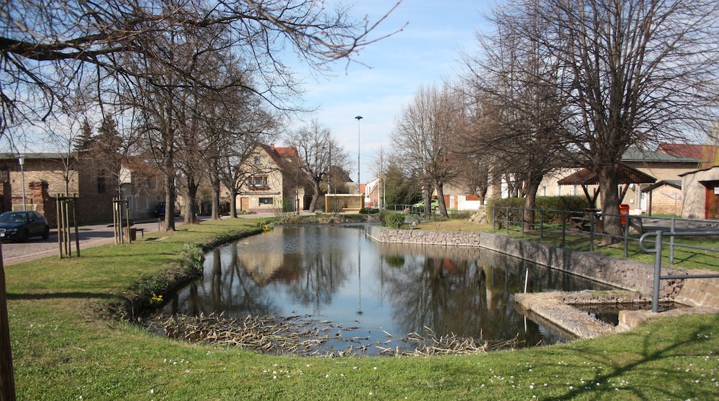 der Tecih in der Mitte von Döblitz, Saalekreis