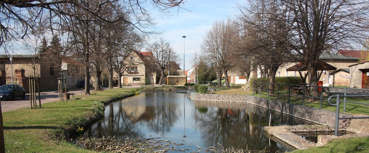 A calm pond surrounded by grass, trees, and a stone wall.
