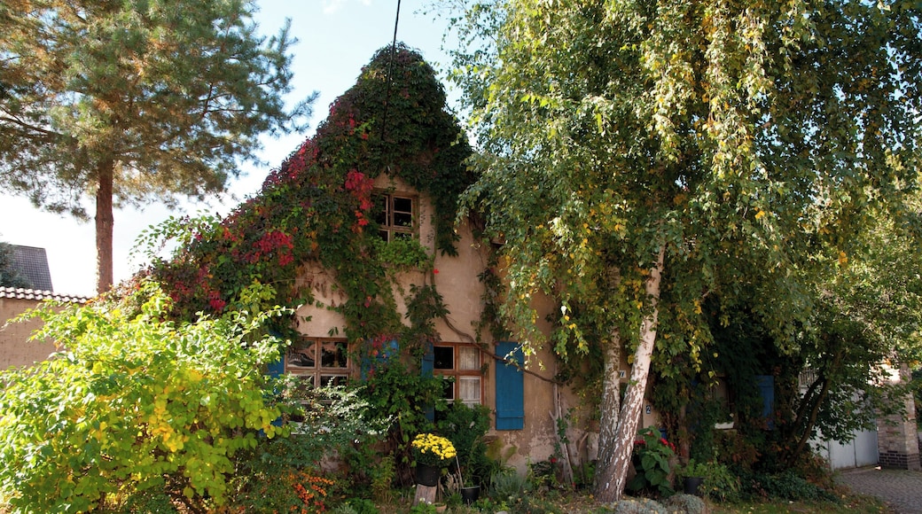 Döblitz Dorfstrasse 11 (Sachsen Anhalt, Deutschland)