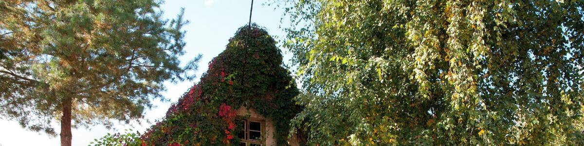 Döblitz Dorfstrasse 11 (Sachsen Anhalt, Deutschland)