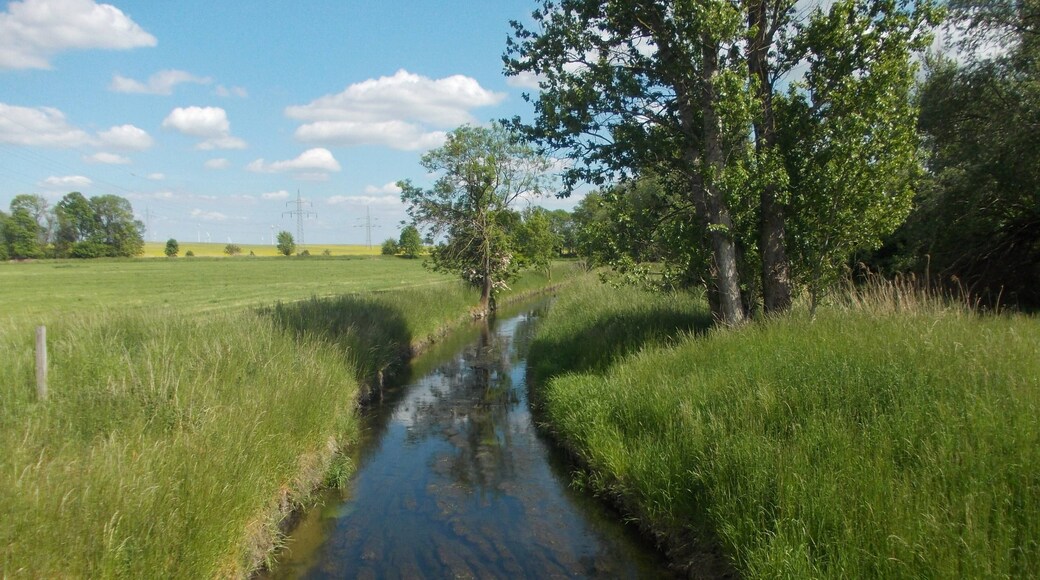 Fuhne river near Werdershausen (Südliches Anhalt, Anhalt-Bitterfeld district, Saxony-Anhalt), Fuhneaue protected landscape area