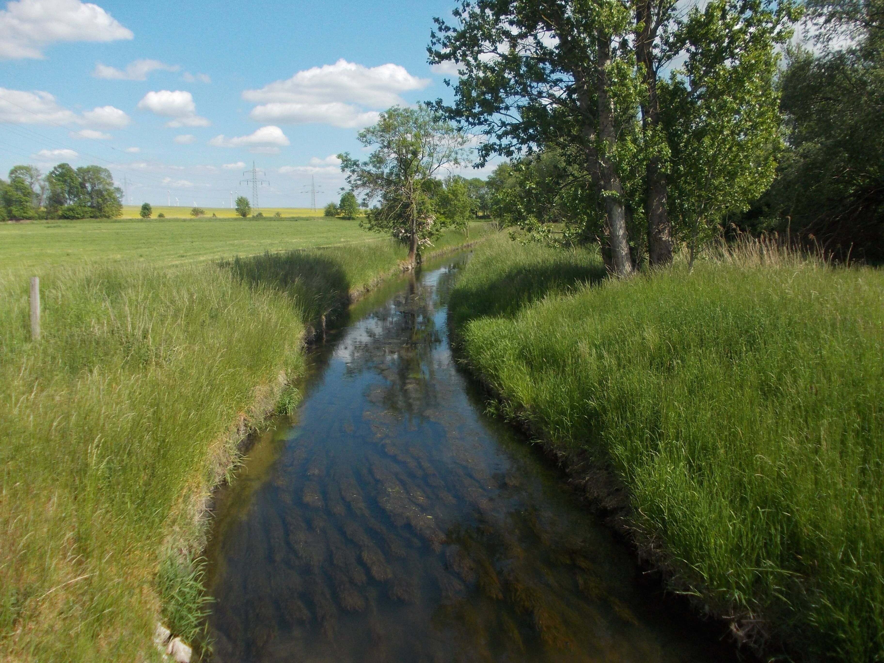 A narrow water channel flanked by lush green grass and trees under a clear blue sky.