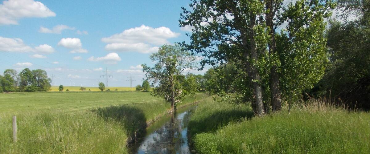 A narrow water channel flanked by lush green grass and trees under a clear blue sky.