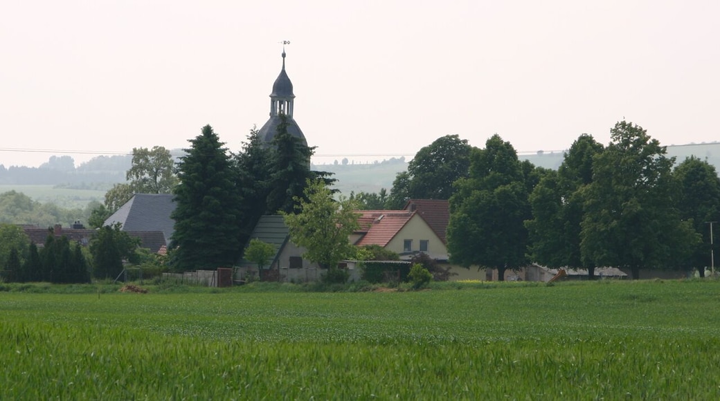 Wieskau ist ein Ortsteil der Stadt Südliches Anhalt in Sachsen-Anhalt, Deutschland.