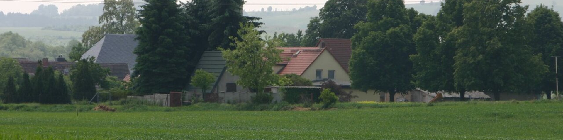 Wieskau ist ein Ortsteil der Stadt Südliches Anhalt in Sachsen-Anhalt, Deutschland.
