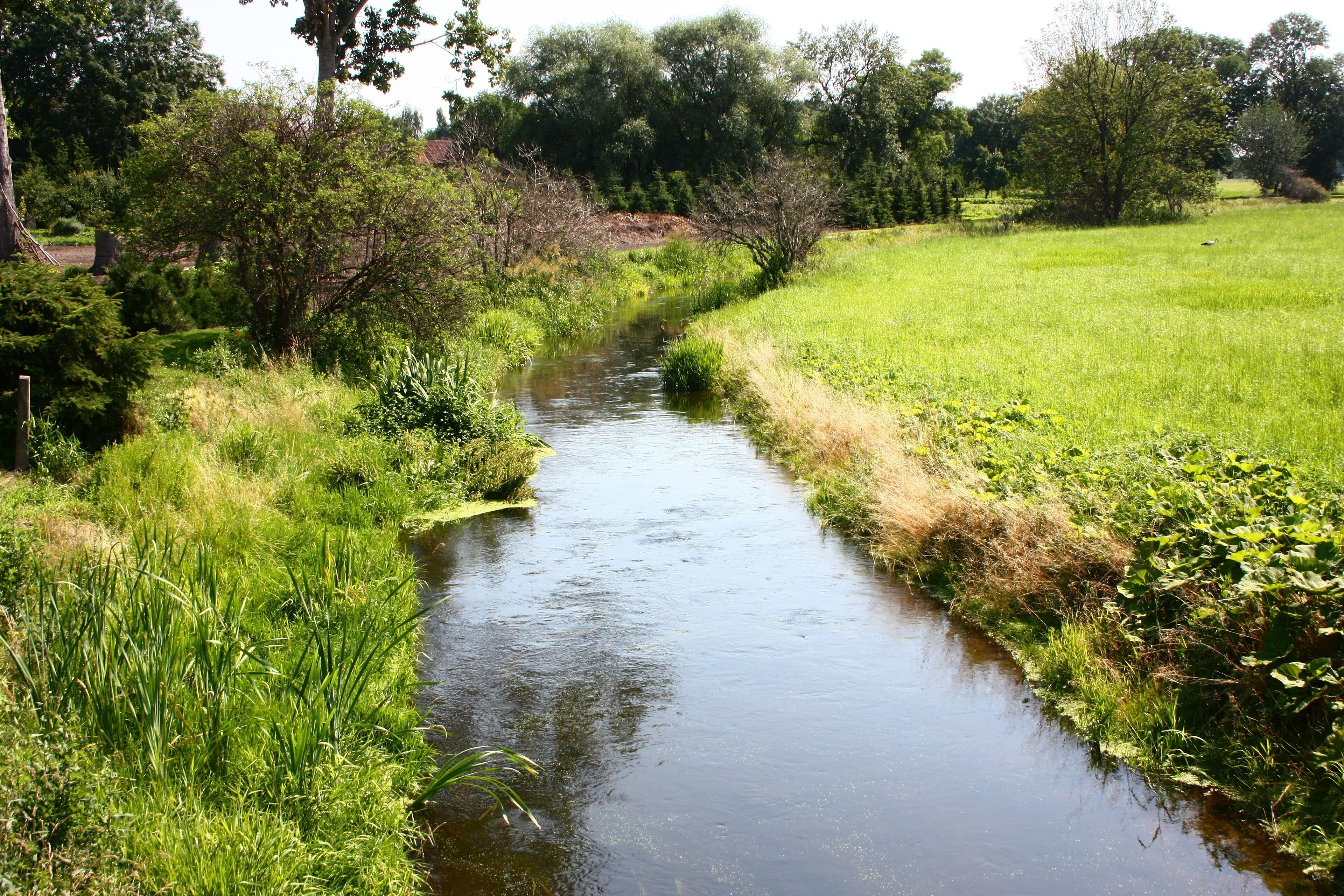 die Fuhne bei Wieskau an der Fuhnebrücke, Blick Richtung Osten
