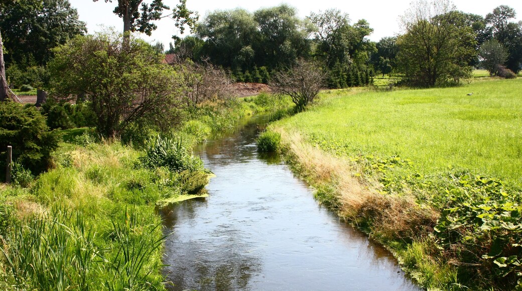 die Fuhne bei Wieskau an der Fuhnebrücke, Blick Richtung Osten