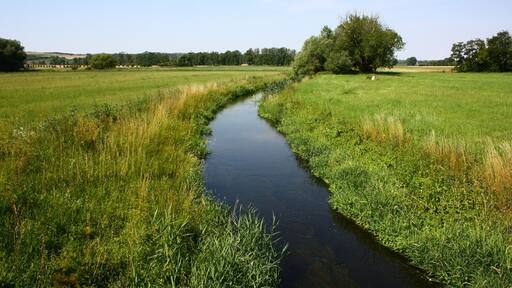 die Fuhne an der Brücke bei Wieskau, Blick nach Westen
