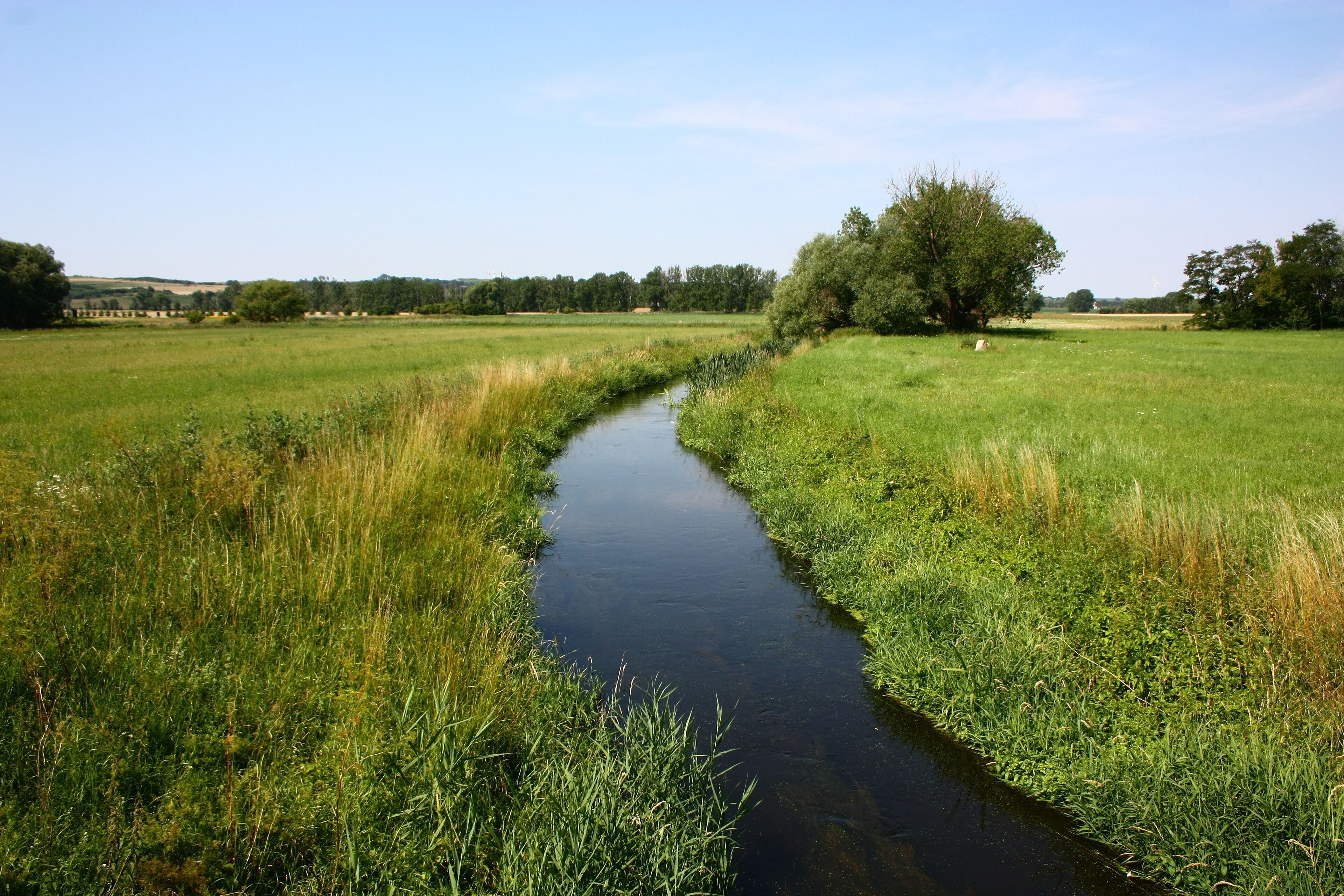 A narrow water channel in a lush green field with trees on either side.