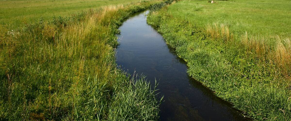 A narrow water channel in a lush green field with trees on either side.