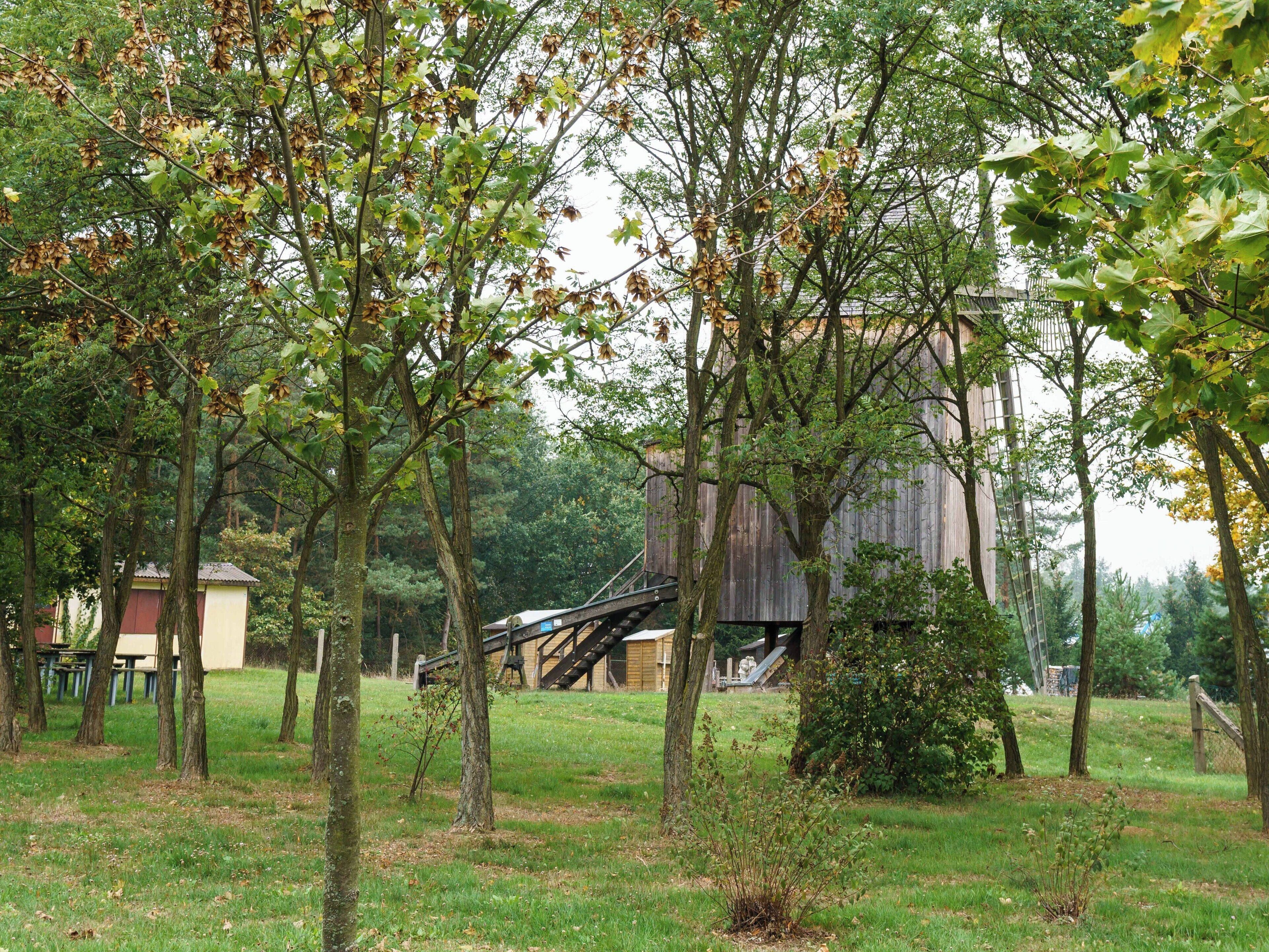 Bockwindmühle in Parchen