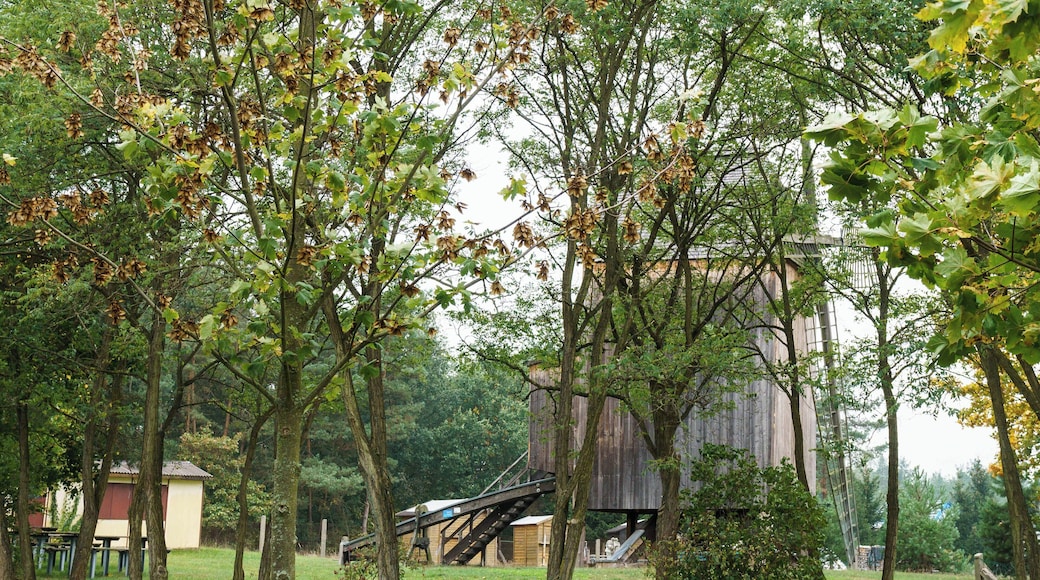 Bockwindmühle in Parchen