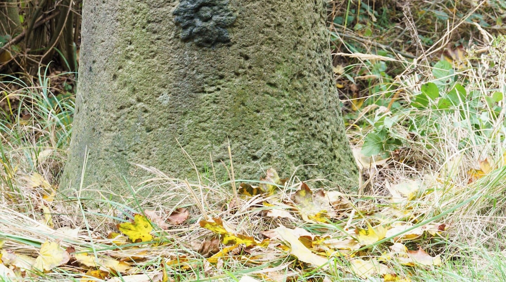 Preußischer Halbmeilenstein (0101) an der B 1 nordöstlich von Parchen Inschrift: 1/2 Meile