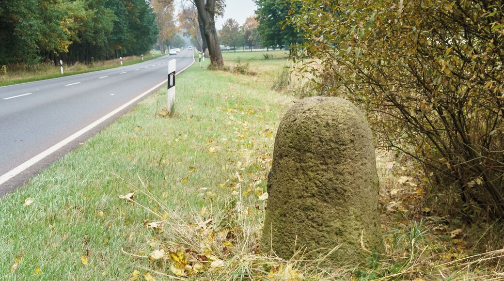 Preußischer Halbmeilenstein (0101) an der B 1 nordöstlich von Parchen Inschrift: 1/2 Meile