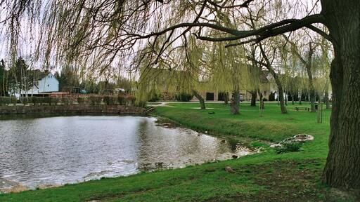 Reichardtswerben (WeiĂenfels), the Mittelteich (middle pond