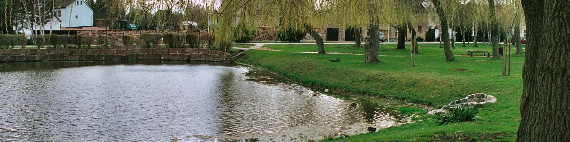 Reichardtswerben (Weißenfels), the Mittelteich (middle pond