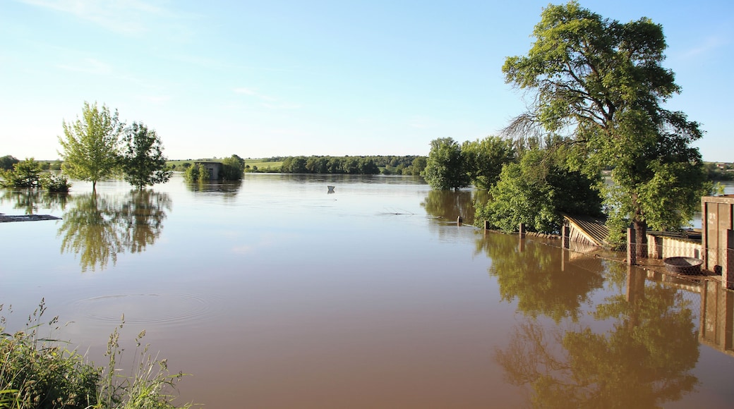 Das Hochwasser der Saale im Jahr 2013.
