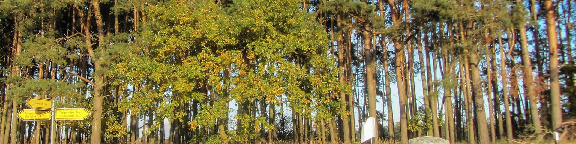 PreuĂischer Rundsockelstein (2286) bei Stegliitz, an der K 1191, Abzweig K 1190 nach Steglitz