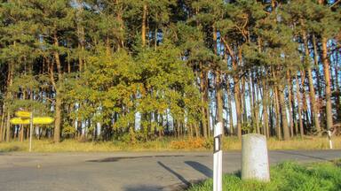 Preußischer Rundsockelstein (2286) bei Stegliitz, an der K 1191, Abzweig K 1190 nach Steglitz