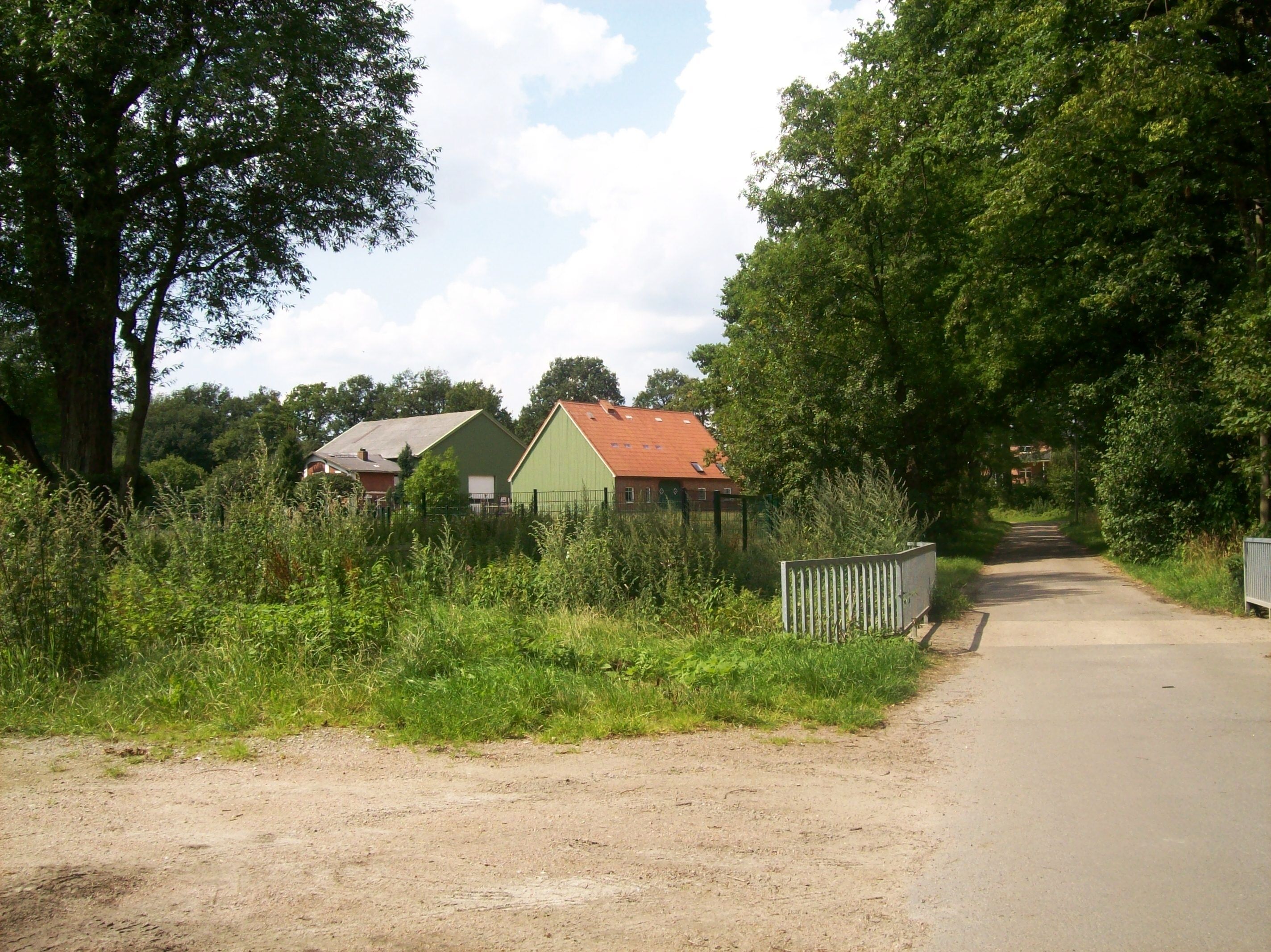 A rural road flanked by greenery and a green building with a red roof.