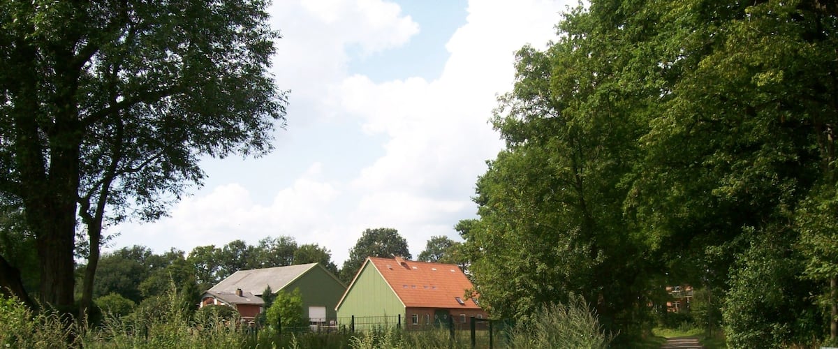 A rural road flanked by greenery and a green building with a red roof.