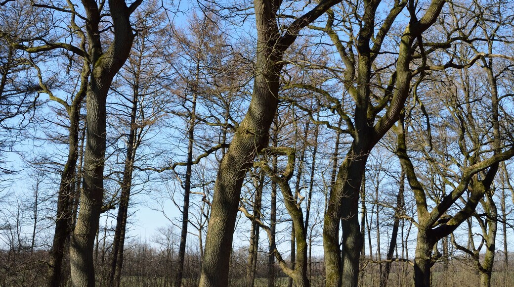 This image was uploaded as part of Wiki Loves Earth 2015.