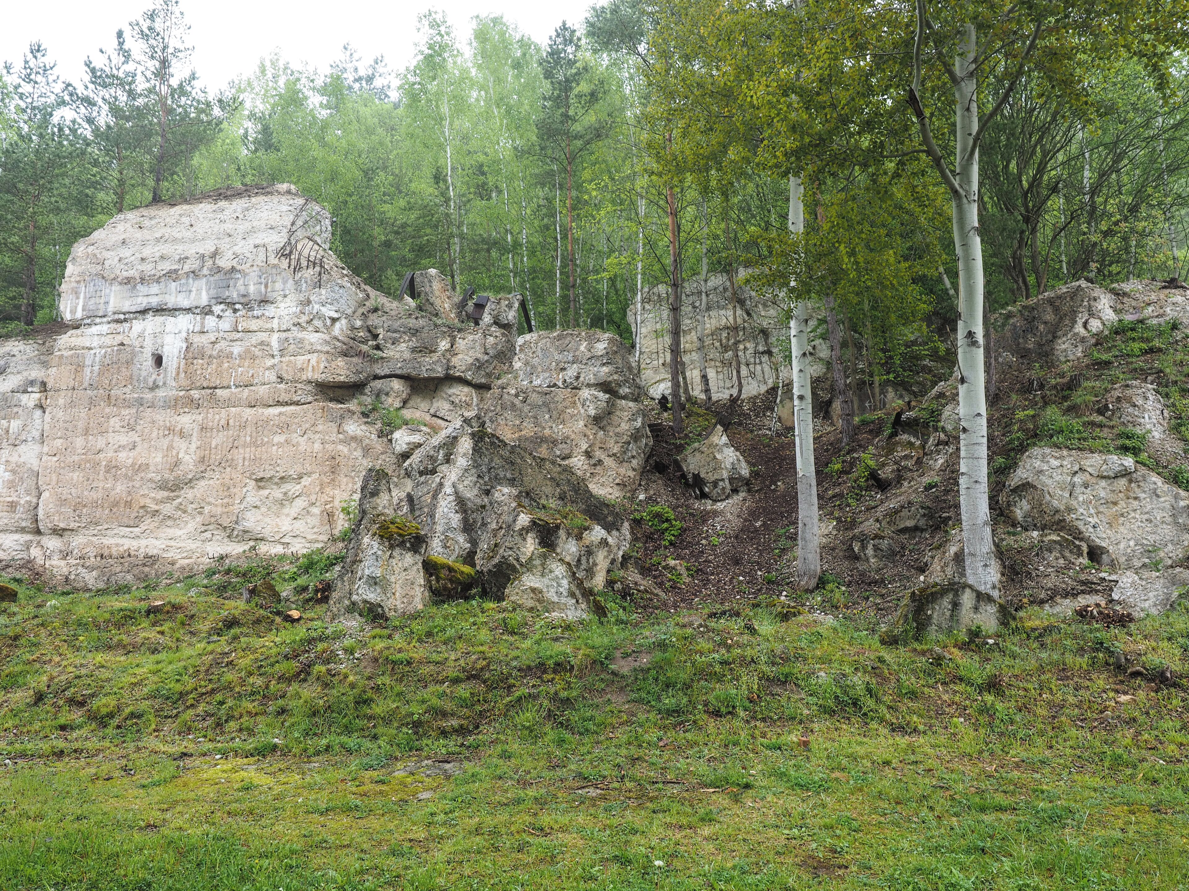 A rocky cliff with a cave entrance, surrounded by trees and greenery.