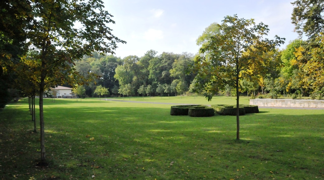 Günthersleben, Wasserschloss, geräumte Insel