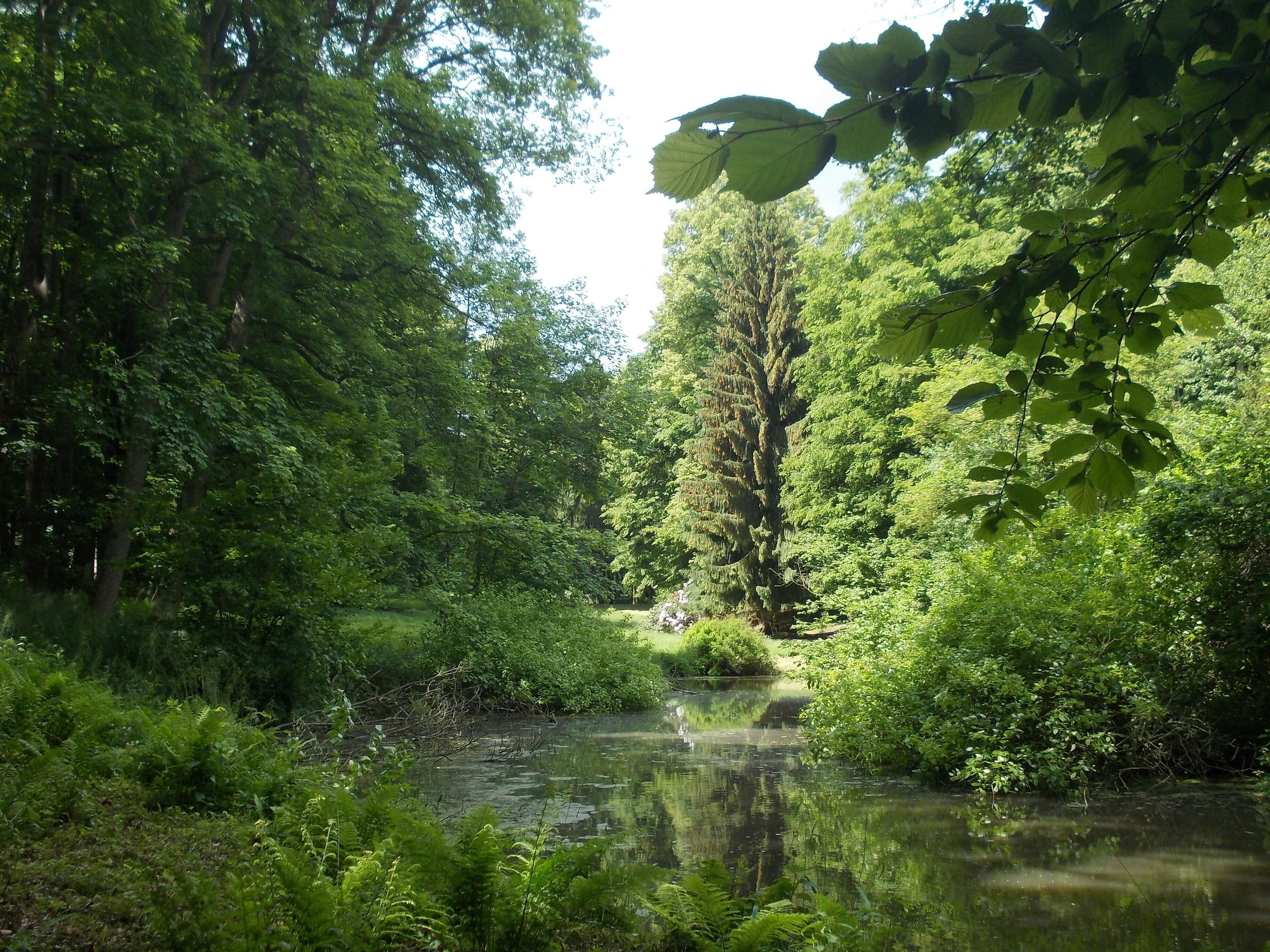 Pond in Tannenfeld Park (Löbichau, Altenburger Land district, Thuringia)