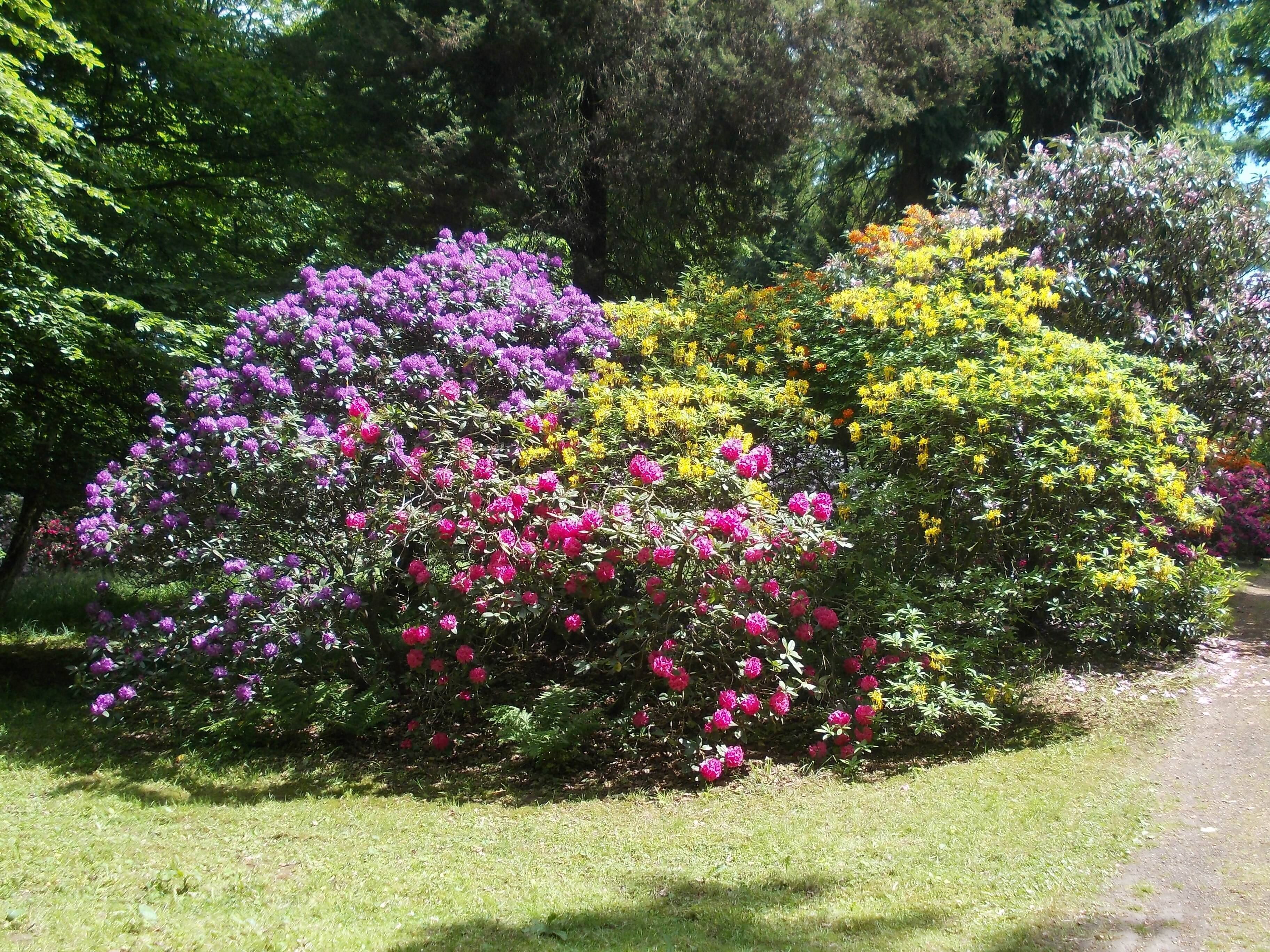 Tannenfeld Park (Löbichau, Altenburger Land district, Thuringia)
