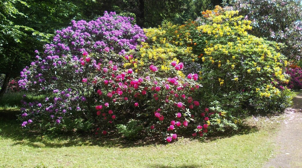 Tannenfeld Park (Löbichau, Altenburger Land district, Thuringia)