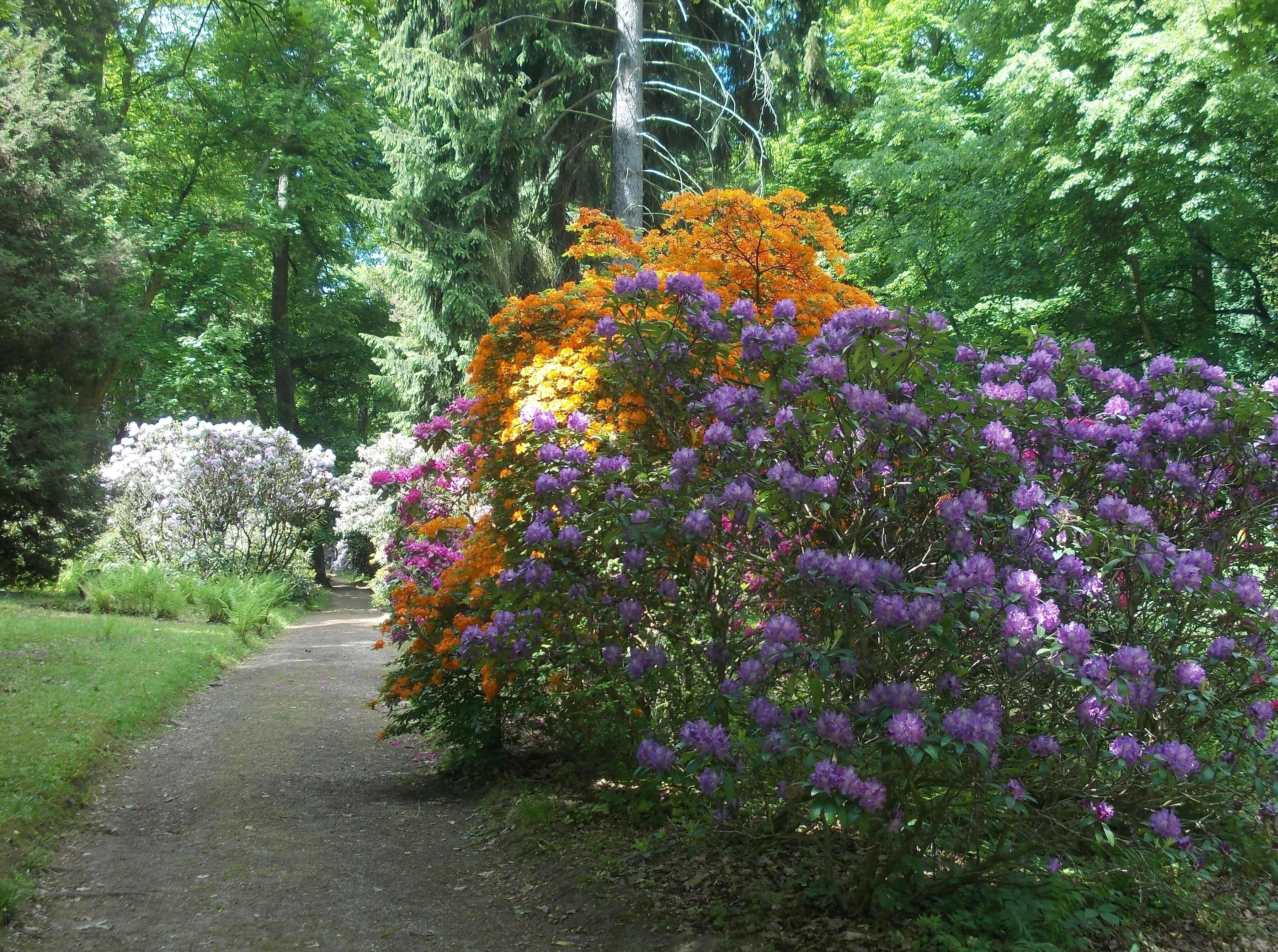 Tannenfeld Park (Löbichau, Altenburger Land district, Thuringia)