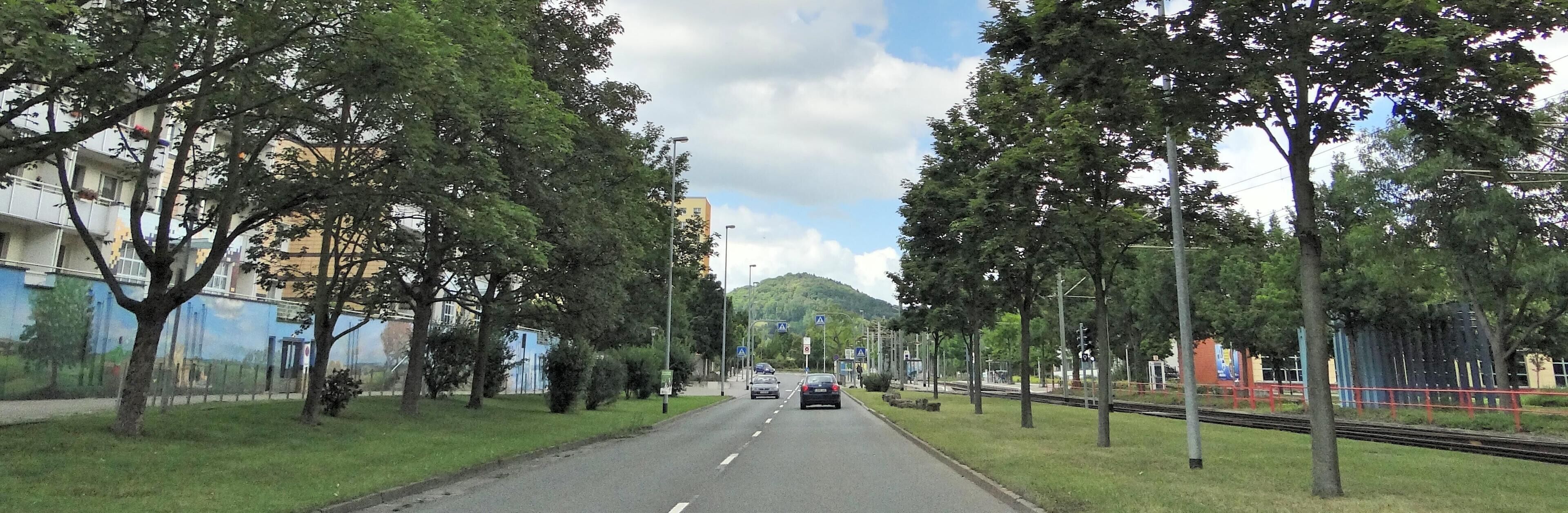 A tree-lined street with buildings and a train track.