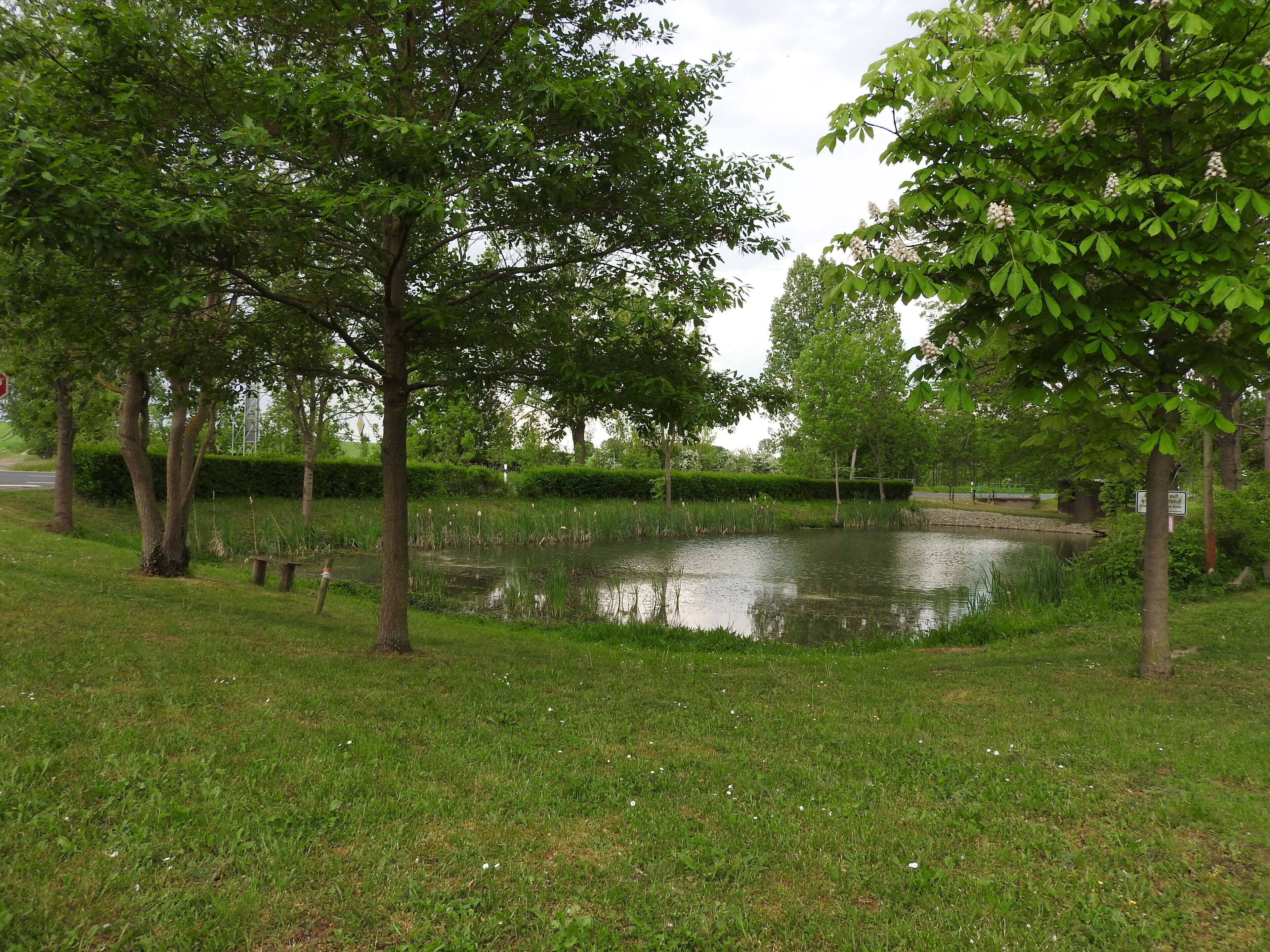 Teich in Teutleben, Eßleben-Teutleben, Thüringen