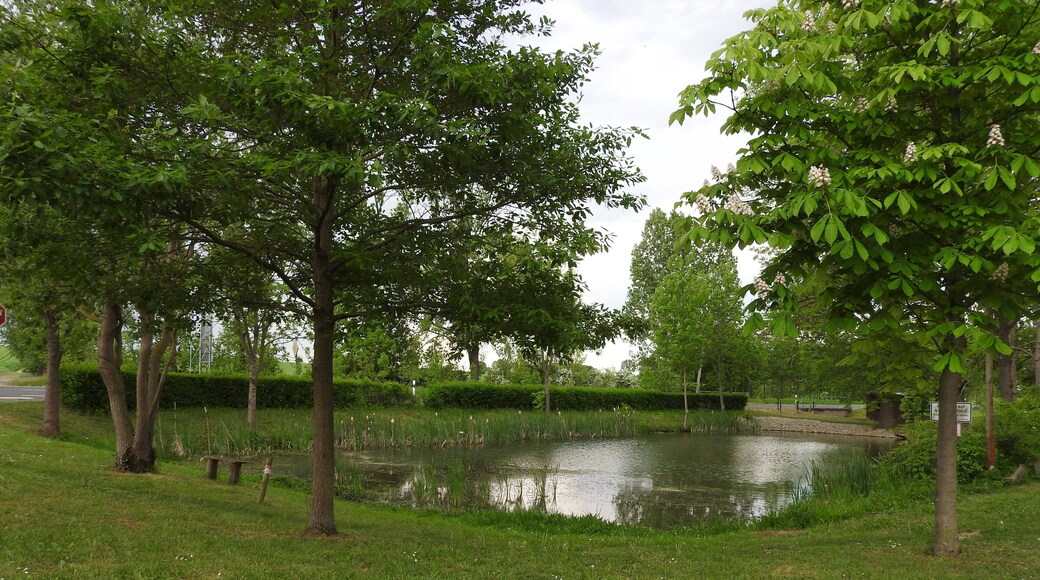 Teich in Teutleben, Eßleben-Teutleben, Thüringen