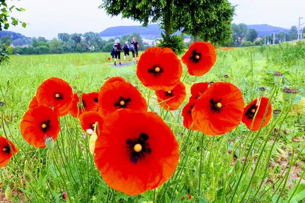 Auf dem Jakobsweg bei Göttingen