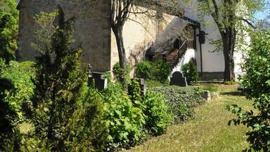 A historic church with a tall steeple and a clock tower, surrounded by lush greenery and trees.