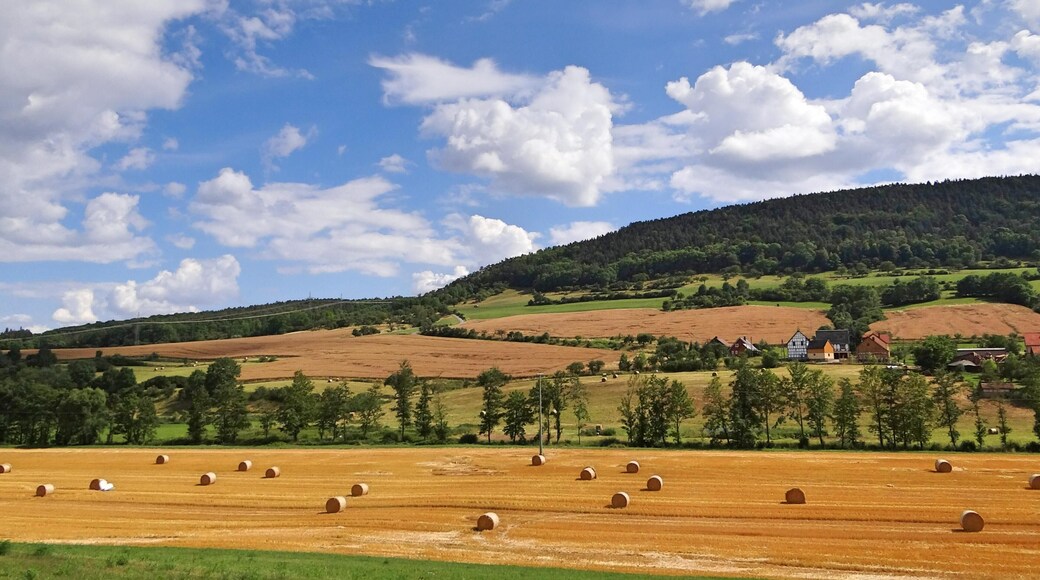 07768 Gumperda, Germany